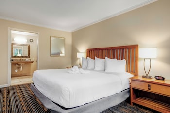 Standard Room, 1 King Bed, Accessible