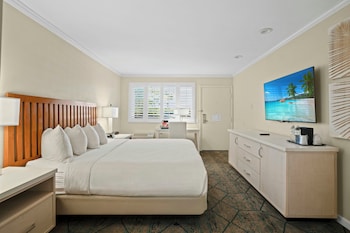 Standard Room, 1 King Bed, Accessible (Roll In Shower)
