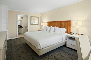 Standard Room, 1 King Bed, Accessible (Roll In Shower)