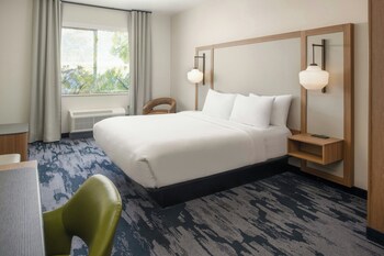 Suite, 1 King Bed with Sofa bed