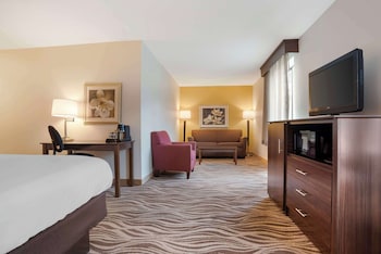 Standard Room, 1 King Bed, Non Smoking, Jetted Tub (with Sofabed)