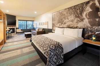 Junior Studio Suite, 1 King Bed with Sofa bed