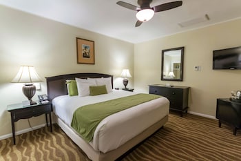 Room, 1 King Bed, Mountainside