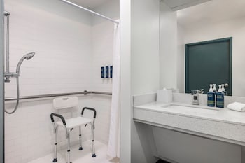Traditional Room, 1 King Bed with Sofa bed (Mobility Accessible, Roll-In Shower)