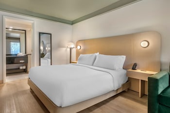 Standard Room, 1 King Bed, Roll-in Shower (Mobility Accessible)