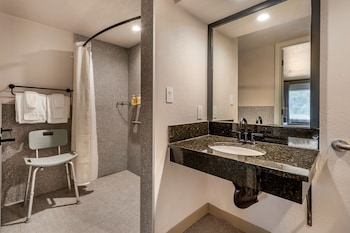 Standard Room, 1 King Bed, Roll-in Shower (Mobility Accessible)