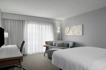 Room, 1 King Bed with Sofa bed (Mobility Accessible, Roll-In Shower)