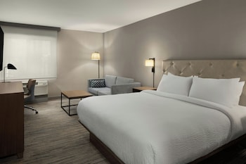 Room, 1 King Bed with Sofa bed
