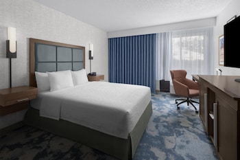 Room, 1 Queen Bed, Accessible (Mobility & Hearing, Roll-in Shower)
