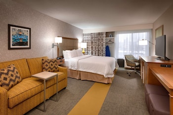 Room, 1 King Bed, Non Smoking, Refrigerator (Shower Only)