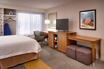 Room, 1 King Bed, Non Smoking, Refrigerator (Shower Only)