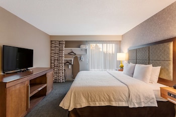 Suite, 1 Bedroom, Accessible, Bathtub