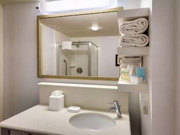 Room, 1 King Bed, Non Smoking, Refrigerator (Shower Only)