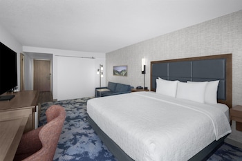 Room, 1 King Bed with Sofa bed (Shower Only)