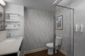 Room, 1 King Bed with Sofa bed (Shower Only)