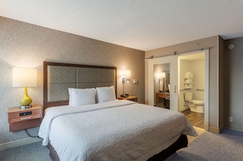 Suite, 1 Bedroom, Accessible, Bathtub