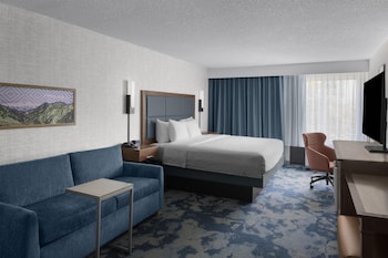 Room, 1 King Bed, Non Smoking, Refrigerator (Shower Only)