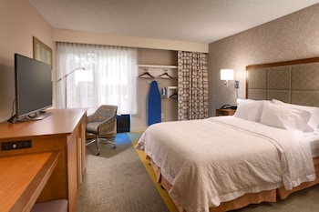 Room, 1 Queen Bed, Accessible, Non Smoking (Mobility & Hearing, Roll-in Shower)