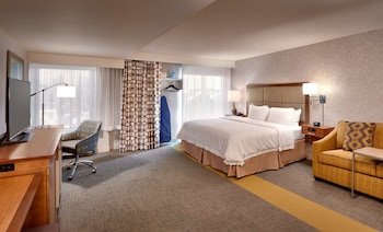 Studio, 1 King Bed, Non Smoking, Refrigerator