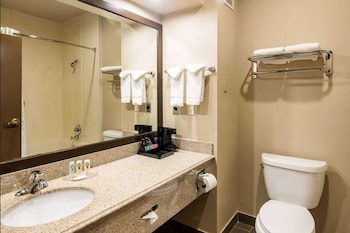 Room, 1 King Bed, Accessible, Non Smoking (Mobility,Roll-In Shower)
