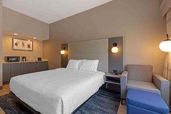 Standard Room, 1 King Bed, Accessible, Refrigerator & Microwave