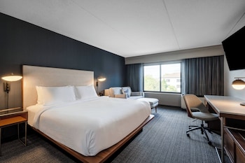 Room, 1 King Bed with Sofa bed