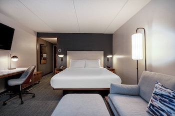 Room, 1 King Bed with Sofa bed