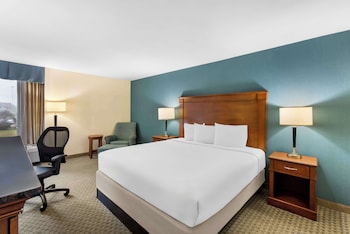 Suite, 1 King Bed