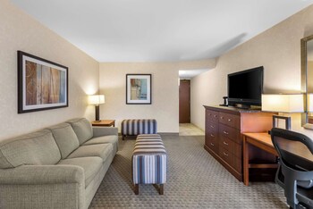 Room, 1 King Bed