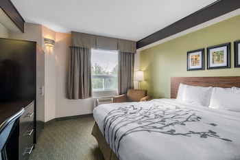 Traditional Room, 1 King Bed, Non Smoking