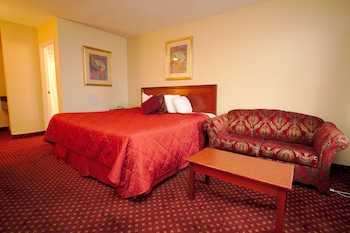 Standard Room, 1 King Bed with Sofa bed