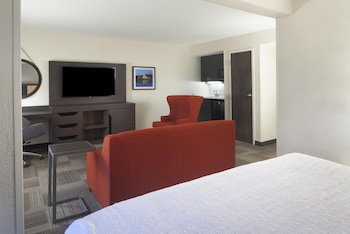 Deluxe Room, 1 King Bed with Sofa bed, Accessible, Jetted Tub (Hearing)