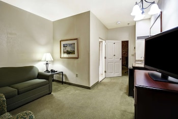 Suite, 1 King Bed, Park View