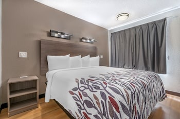 Standard Room, 1 King Bed, Non Smoking