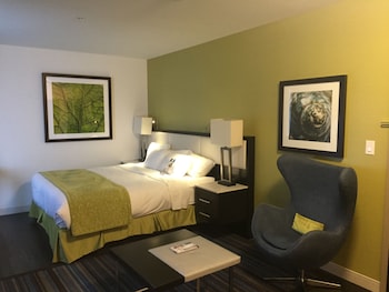 Room, 1 King Bed
