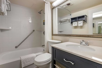 Standard Room, 1 King Bed, Non Smoking, Refrigerator & Microwave (with Sofabed)