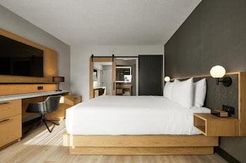 Suite, 1 King Bed with Sofa bed