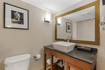 Standard Room, Multiple Beds, Non Smoking, Refrigerator & Microwave (with Single Sofabed)