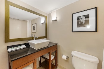 Suite, 1 King Bed, Non Smoking, Refrigerator & Microwave (with Sofabed)