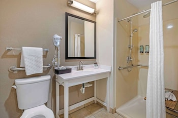 Suite, 1 King Bed, Accessible, Non Smoking (with Sofabed)