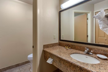 Standard Room, 1 King Bed, Non Smoking, Refrigerator & Microwave