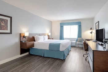 Business Room, 1 King Bed, Kitchenette