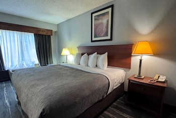 Room, 1 King Bed, Non Smoking