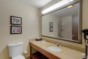 Suite, 1 King Bed, Non Smoking