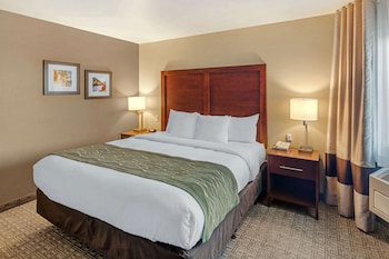 Room, 1 King Bed, Accessible, Non Smoking