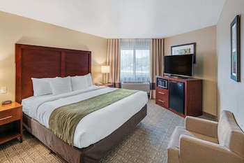 Standard Room, 1 King Bed, Non Smoking