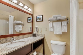 Suite, 1 King Bed with Sofa bed, Non Smoking, Mountain View