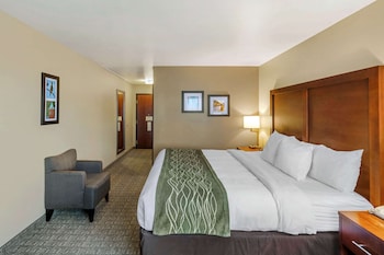 Room, 1 King Bed, Accessible, Non Smoking