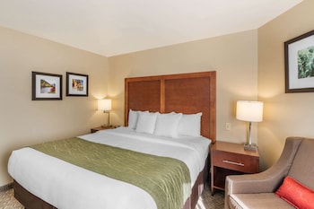 Suite, 1 King Bed with Sofa bed, Non Smoking, Mountain View