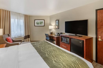 Standard Room, 1 King Bed, Non Smoking